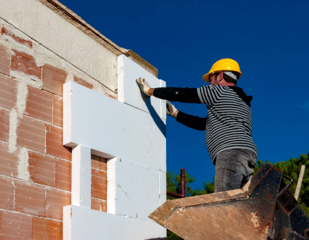 Best Insulation Maintenance and Repair in San Luis, AZ