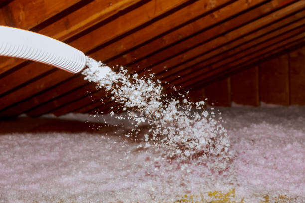 Best Residential Insulation in San Luis, AZ