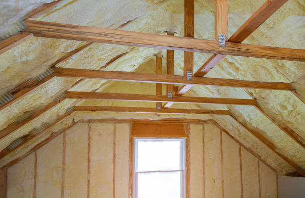 Best Eco-Friendly Insulation in San Luis, AZ
