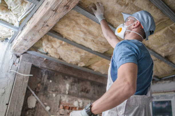  San Luis, AZ Insulation Contractor Pros