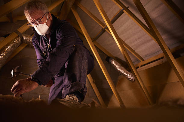 Best Energy Efficiency Insulation in San Luis, AZ